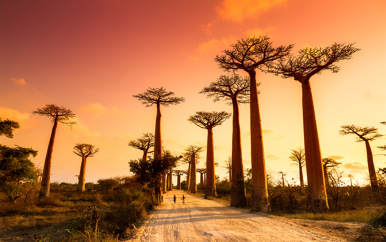 10 cose da sapere Madagascar